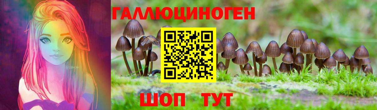 Сосновый Бор  Галлюциногенные грибы мицелий  Вход с VPN  Псилоцибиновые грибы Psilocybine cubensis 